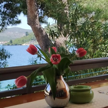 Holiday Home Milenka Rogoznica  Luaran gambar