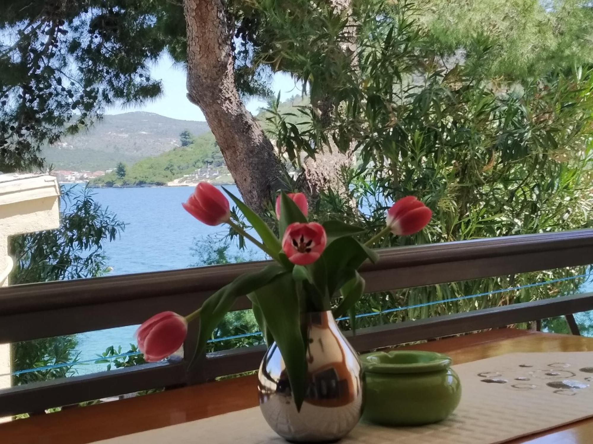 Holiday Home Milenka Rogoznica  Luaran gambar